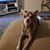 Becky Ekberg's profile image