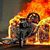 Ralph Beyer's profile image