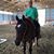 Renee Alfaro's profile image