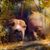 Betty Downs's profile image