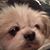 Denise Bridwell's profile image