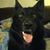 Glenn Barna's profile image