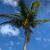 Lori Oslosky Joseph's profile image