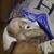 Kristine Resch Ives's profile image