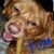 Joe Stallsworth's profile image