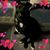 Michelle Brown's profile image