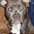 Connie Sylvester's profile image