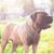 Kathy King's profile image