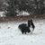 Marna Blakewell's profile image