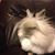 Helen Lupardus's profile image