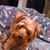 Denise Davis's profile image