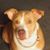 Bertha Pittsley's profile image