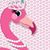 Jimmie Ann Cassels Maxwell's profile image