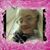 Marsha Stines's profile image