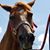 Dawn Wright's profile image