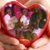 Ezron Holgate's profile image