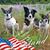 Marilynn K. Sam Lietz's profile image