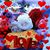 Jesse ZAhid's profile image