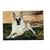 Julie Laux's profile image