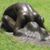 Wilma Hawkinson's profile image
