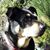 Valerie Androus Laam's profile image