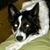 Kim Hartman Wilhoit's profile image