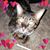 Teresa McLeod's profile image