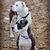 Amy Bailey Hilton's profile image