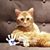 Sharon Baer's profile image
