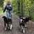 Mareike Spira's profile image