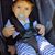 Charlie Blaisdell's profile image
