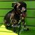 Dave Harrigan's profile image