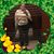 Bettsy Marin's profile image