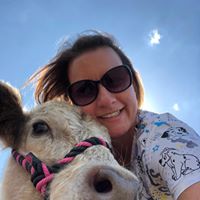 Cara McKiernan's profile image