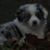 Dawn Marie Monroe's profile image