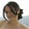 Marlo Palacios's profile image