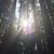 Haleigh Rene Holt Bowles's profile image