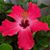 Gladymil Colón-Villafane's profile image