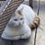Kimberly Csernai's profile image