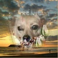 Marie Blackbear's profile image