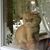 Sandra Panciera's profile image