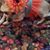 Jewell Ashley's profile image