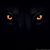 Dave Eurich's profile image