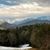 Donna Simons Scheett's profile image