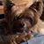 John Karline's profile image