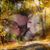 Kimberly Joyce Dunlop's profile image