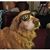 Jamie Hoffman's profile image