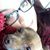 Courtney Sorensen's profile image