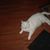 James Enderle's profile image