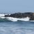 Sharon Tiffee's profile image